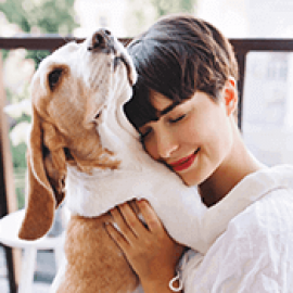 Featured author image: The Best Organic CBD Oil  For Dogs